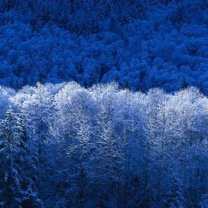 Meet your Posher, Faye